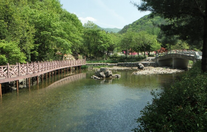 고산 자연휴양림 예약 평상 정자 물놀이 계곡 오토캠핑장 숙박 시설