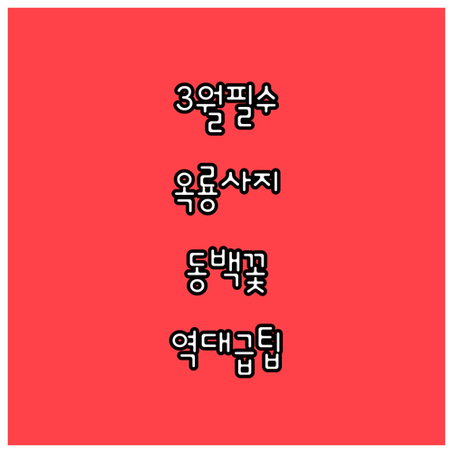 붉은 낙화의 미학 옥룡사지 동백나무 ..