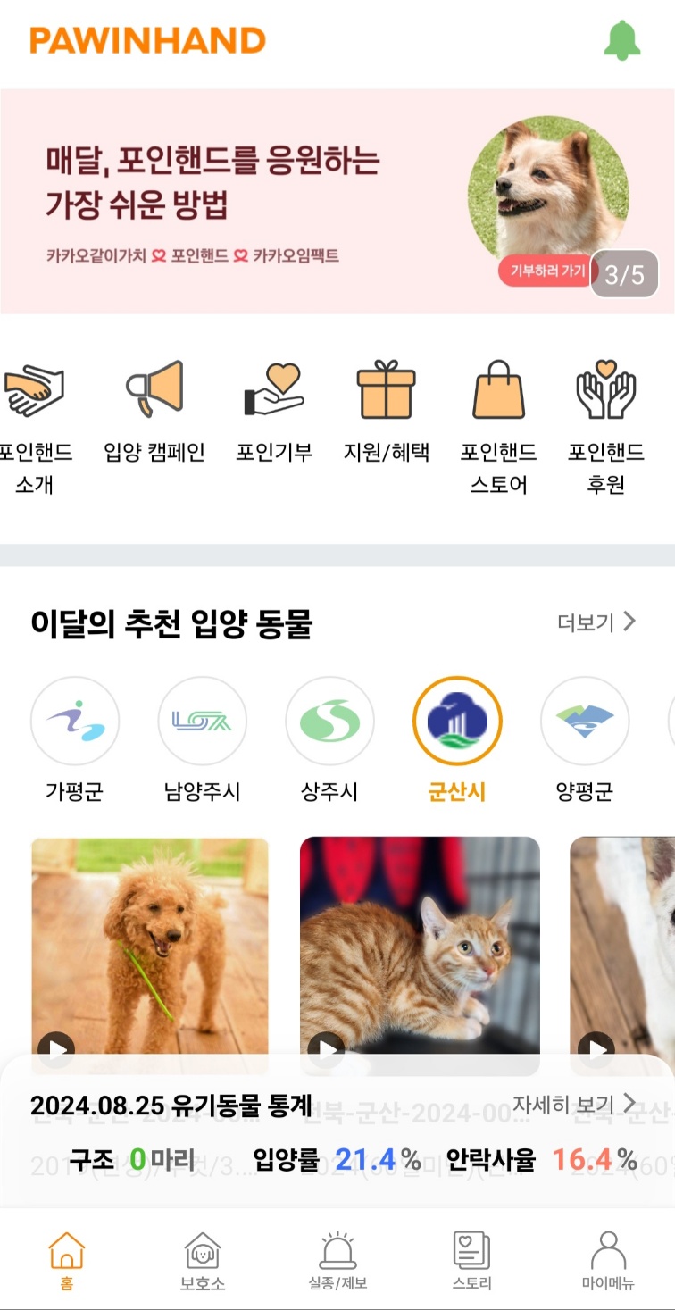 유기동물 입양하기 - 포인핸드