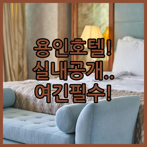 실내 사진 위주로 살펴보는 용인 인기..