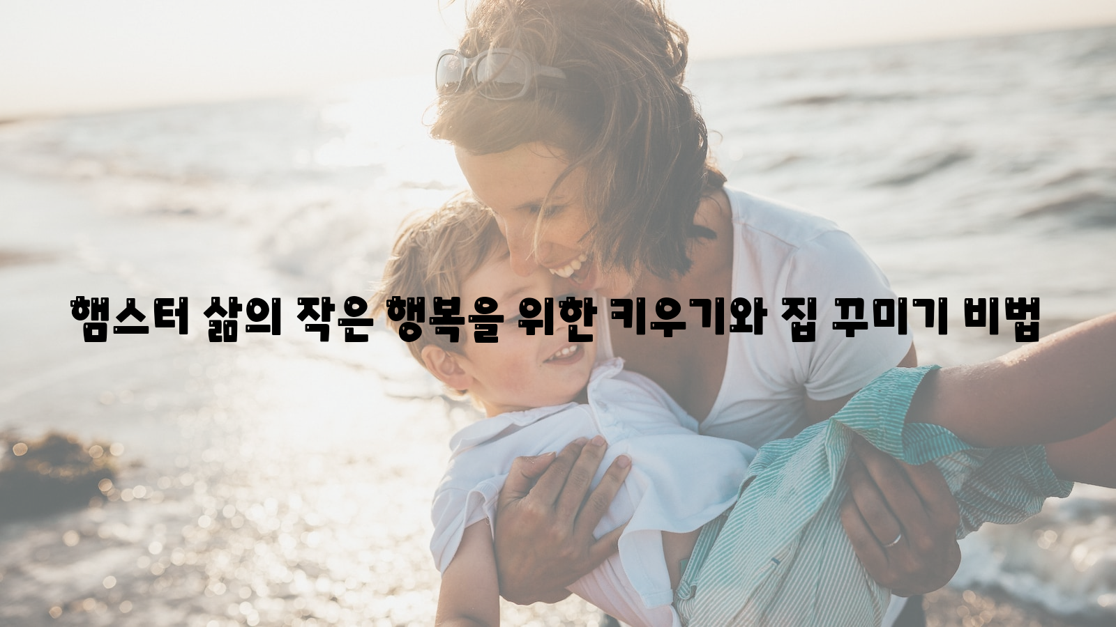 햄스터&#44; 작은 행복&#44; 집 꾸미기