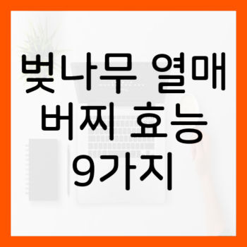 벚나무-열매-효능-썸네일