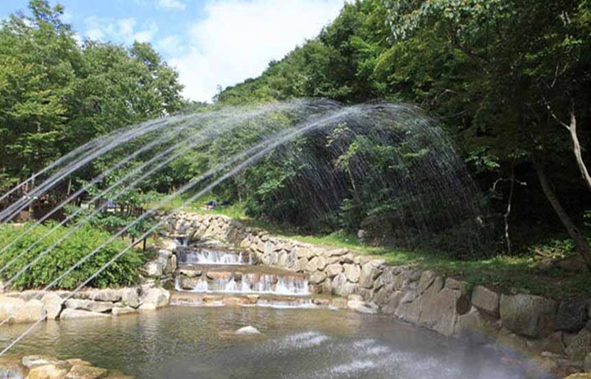 전주 애견동반 데미샘자연 휴양림 6월20일 예약접수