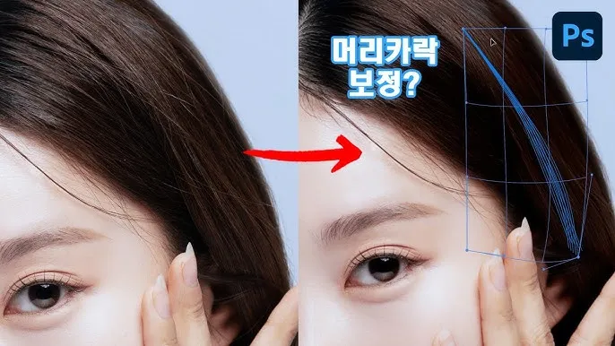 머리카락 굵게 만드는 방법 8가지와 두피관리 팁 안내_2