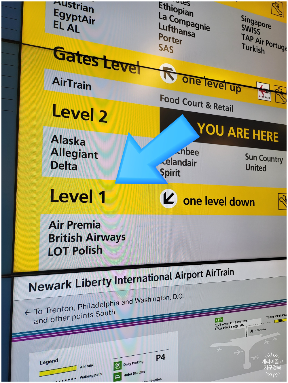 뉴욕 뉴왁공항 에어 프레미아 체크인 카운터 위치