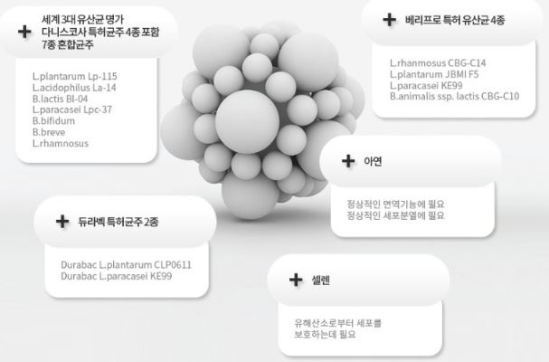 블랙베리 프로바이오틱스-다이어트