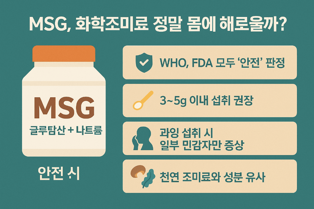 조미료에-대한-설명-일러스트