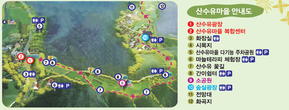 의성 산수유 축제