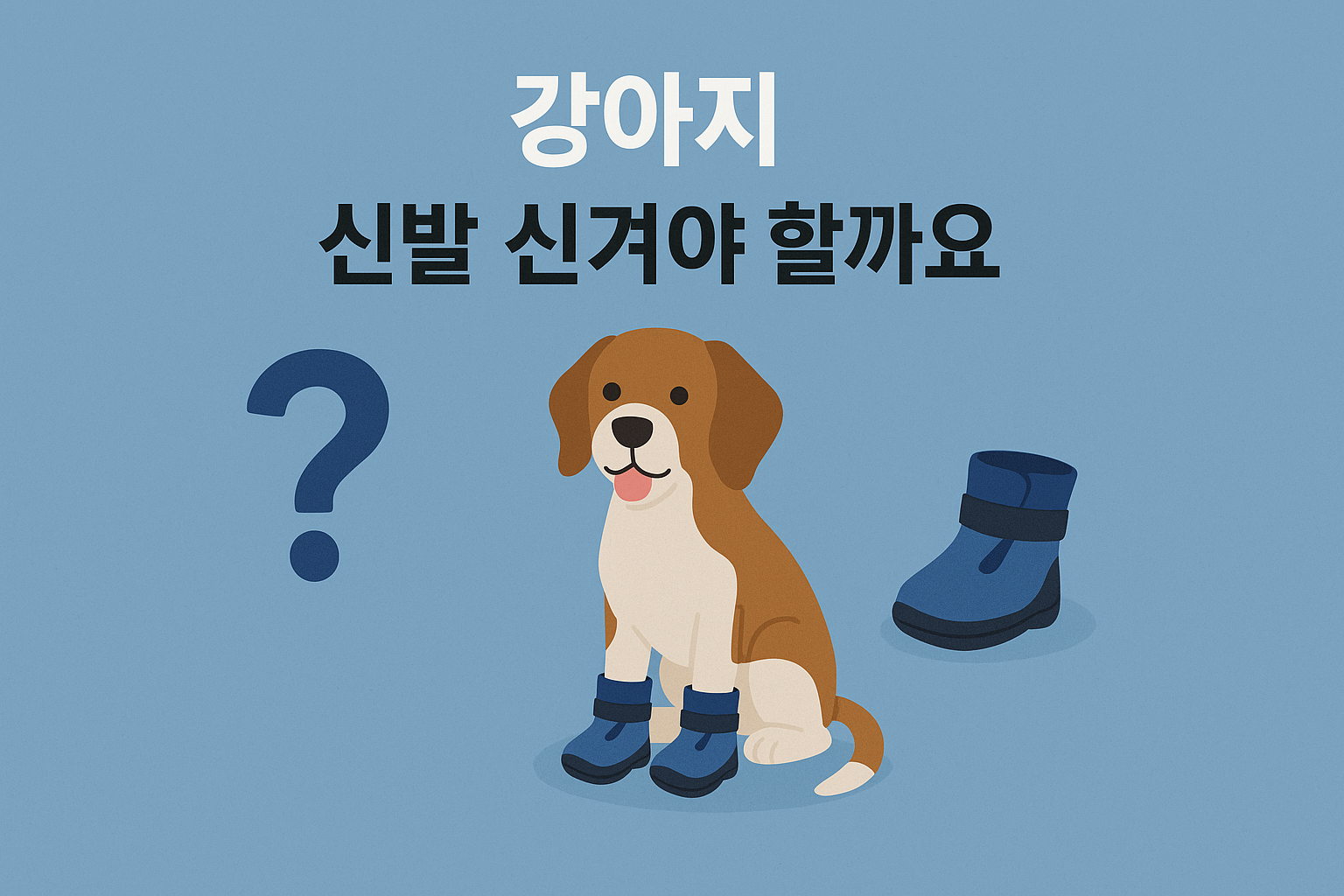 강아지 신발 신겨야 하나요 이미지