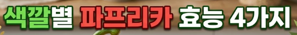 파프리카 효능