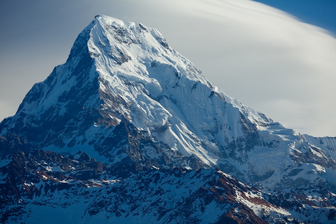 Himalayan