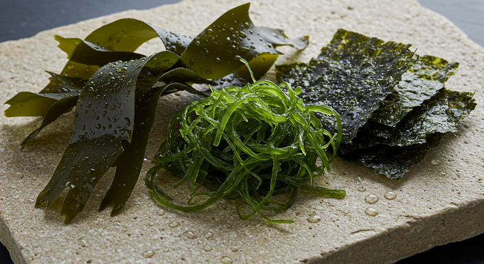 콜레스테롤이유