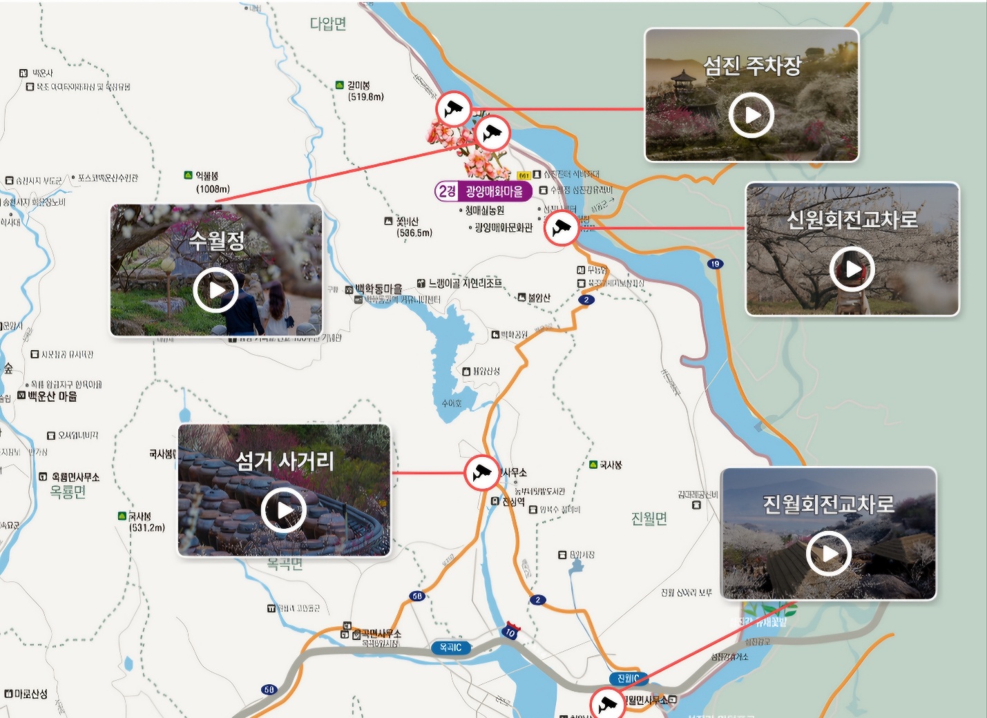 광양매화축제 주차장, 맛집, 입장료