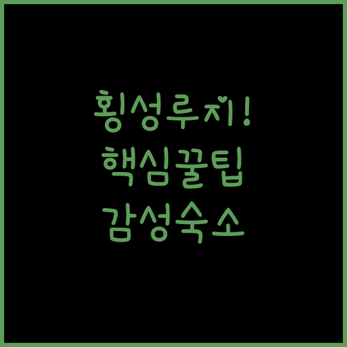 횡성 루지360 체험 후기 및 근처 ..