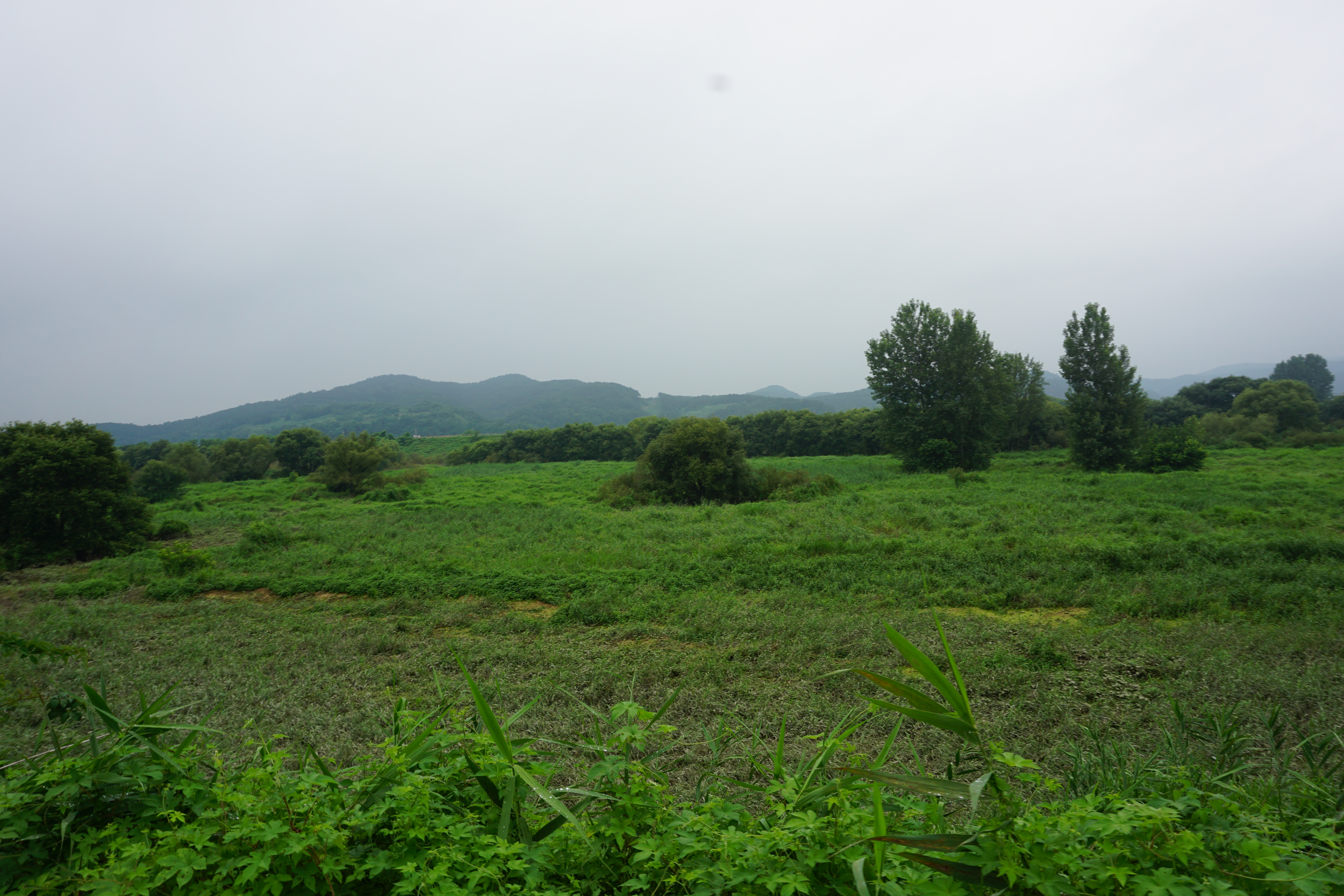 경남 창녕군 우포늪, 우포생태관, 우포출렁다리