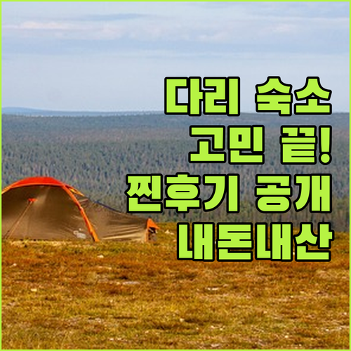 다리 숙소 고민 끝! 위치, 청결, ..