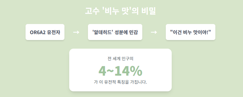 고수 효능 8가지와 부작용, 알레르기 및 부작용, 보관 방법!