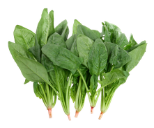 키에 좋은 음식