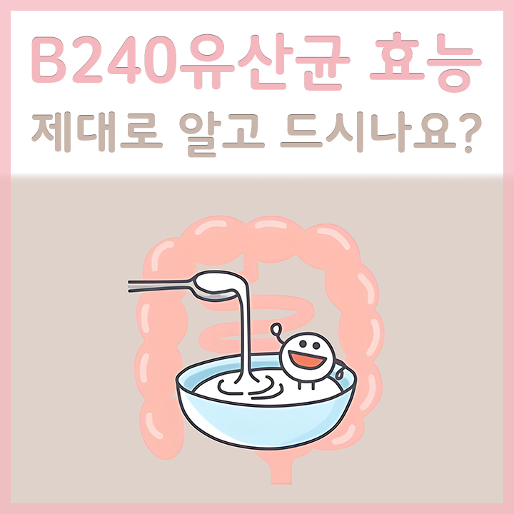 B240유산균
