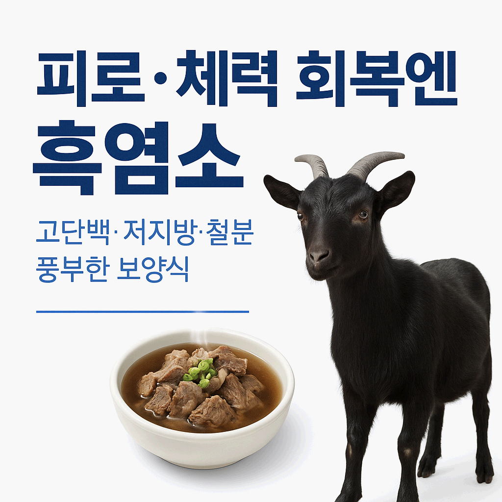 흑염소 효능