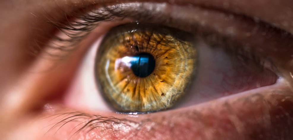 백내장가 발생할 때 해야 할 일