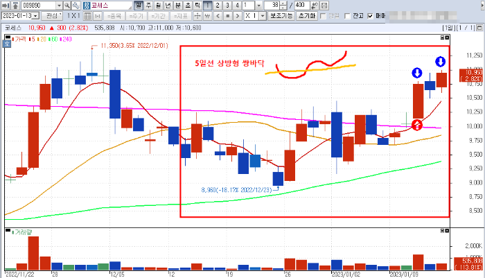 1월 13일 코세스 일봉 차트