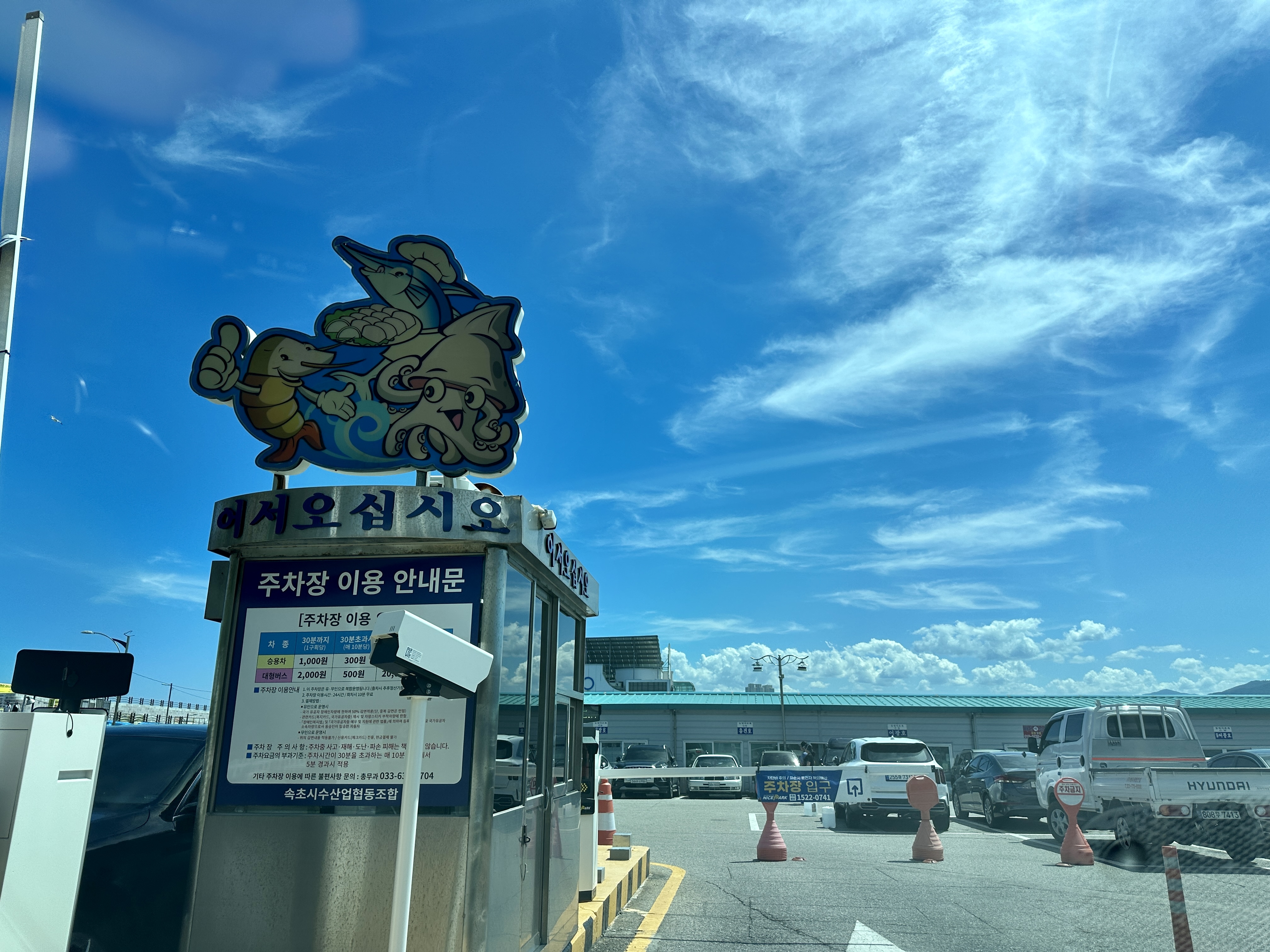 속초 영금정 주차장