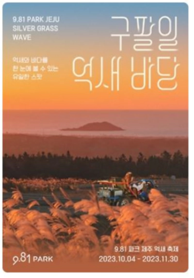 제주 981 억새 바당 축제 일정 및 즐길거리 안내