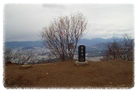금병산