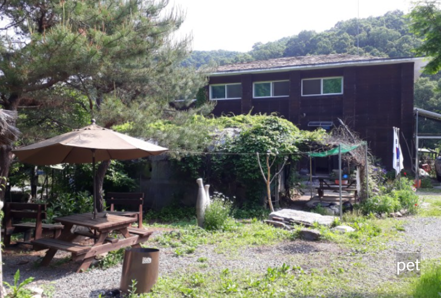 경기-연천-아미골캠핑장-예약-방법-애견-동반-가격-주소-시간-후기