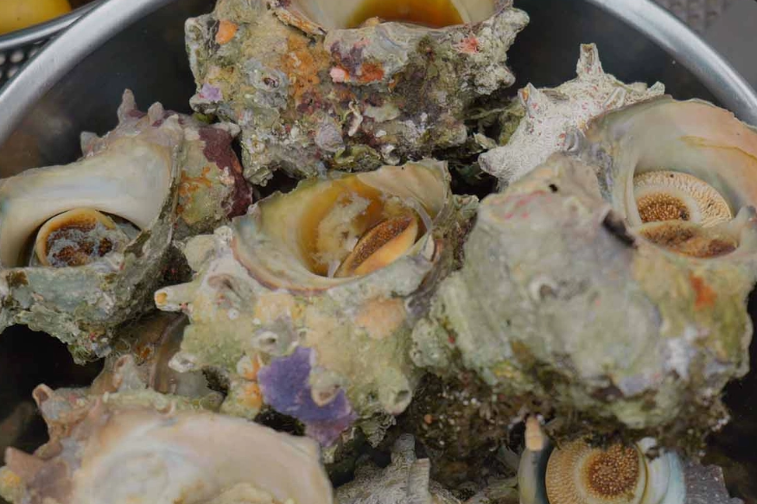 제주 해녀 물질 체험 정보 및 신청 방법