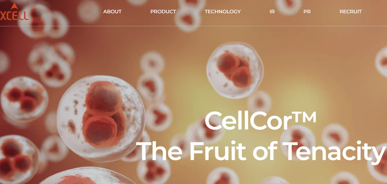 6월 공모주 청약 IPO 일정 - 엑셀세라퓨틱스