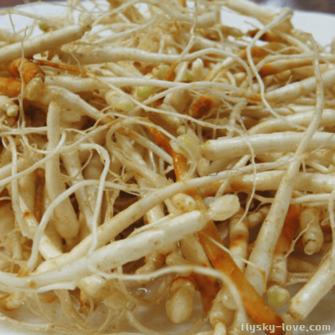 작은 인삼 미삼