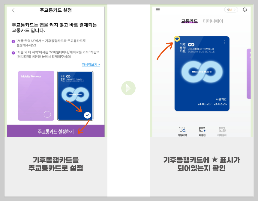 기후동행카드-주교통카드-설정하기-별표-확인