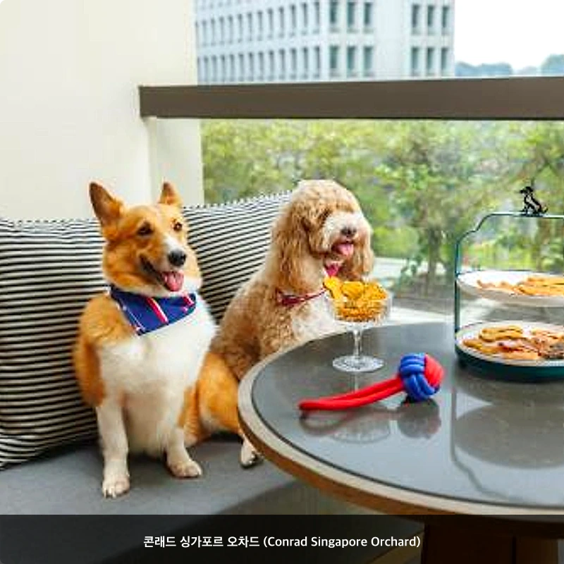 콘래드 싱가포르 오차드 (Conrad Singapore Orchard)_7