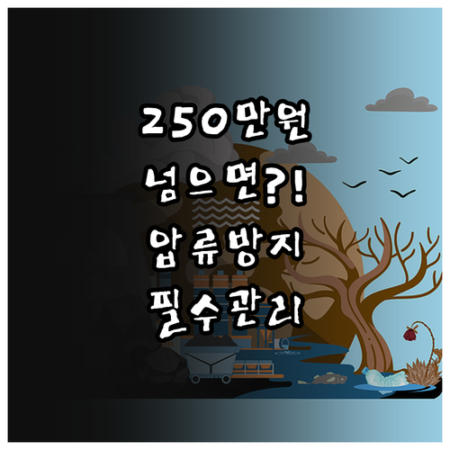 압류방지계좌 잔액 250만원 초과 시..