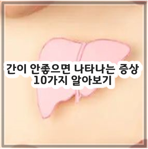 간이 안좋으면 나타나는 증상 10가지 알아보기