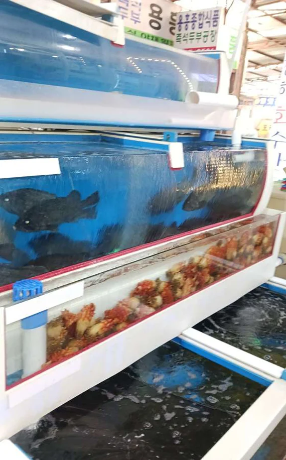 신라의달밤 다보탑