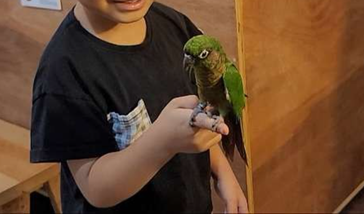 센트럴 곤충 생태농장