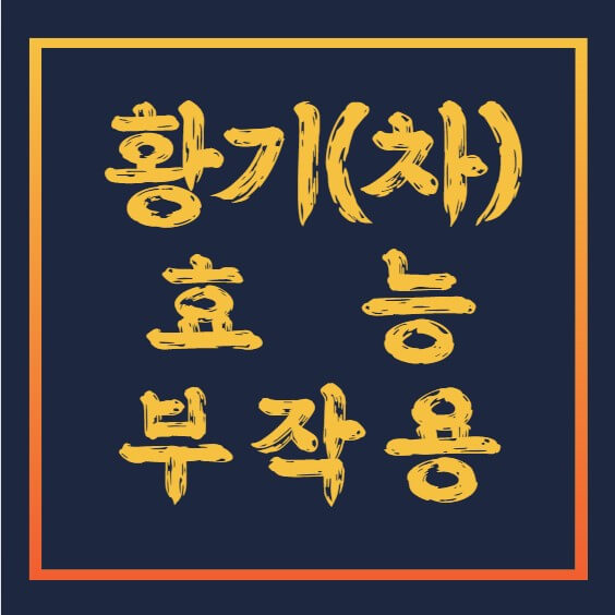 황기-효능