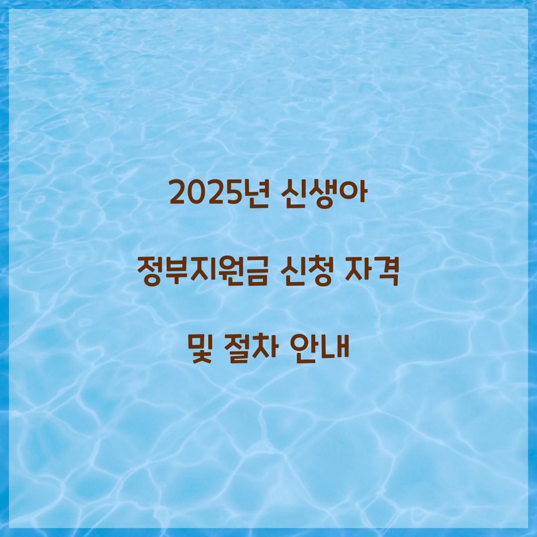2025년 신생아 정부지원금