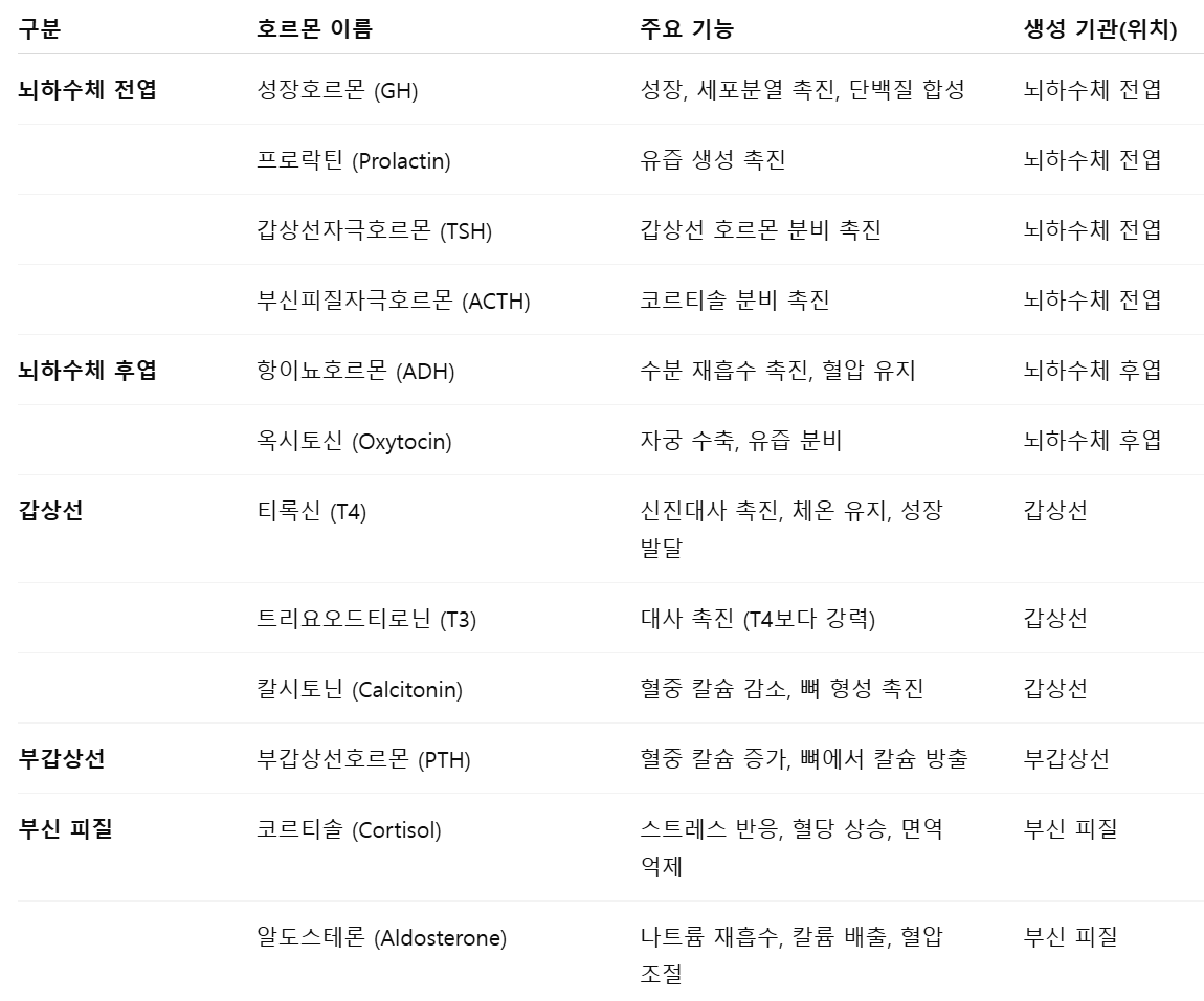 인체-호르몬-종류