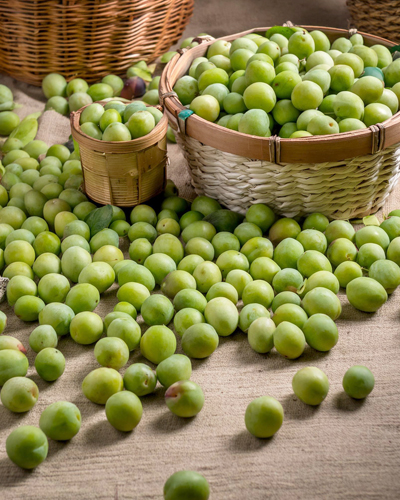 매실청 담그는 시기와 방법