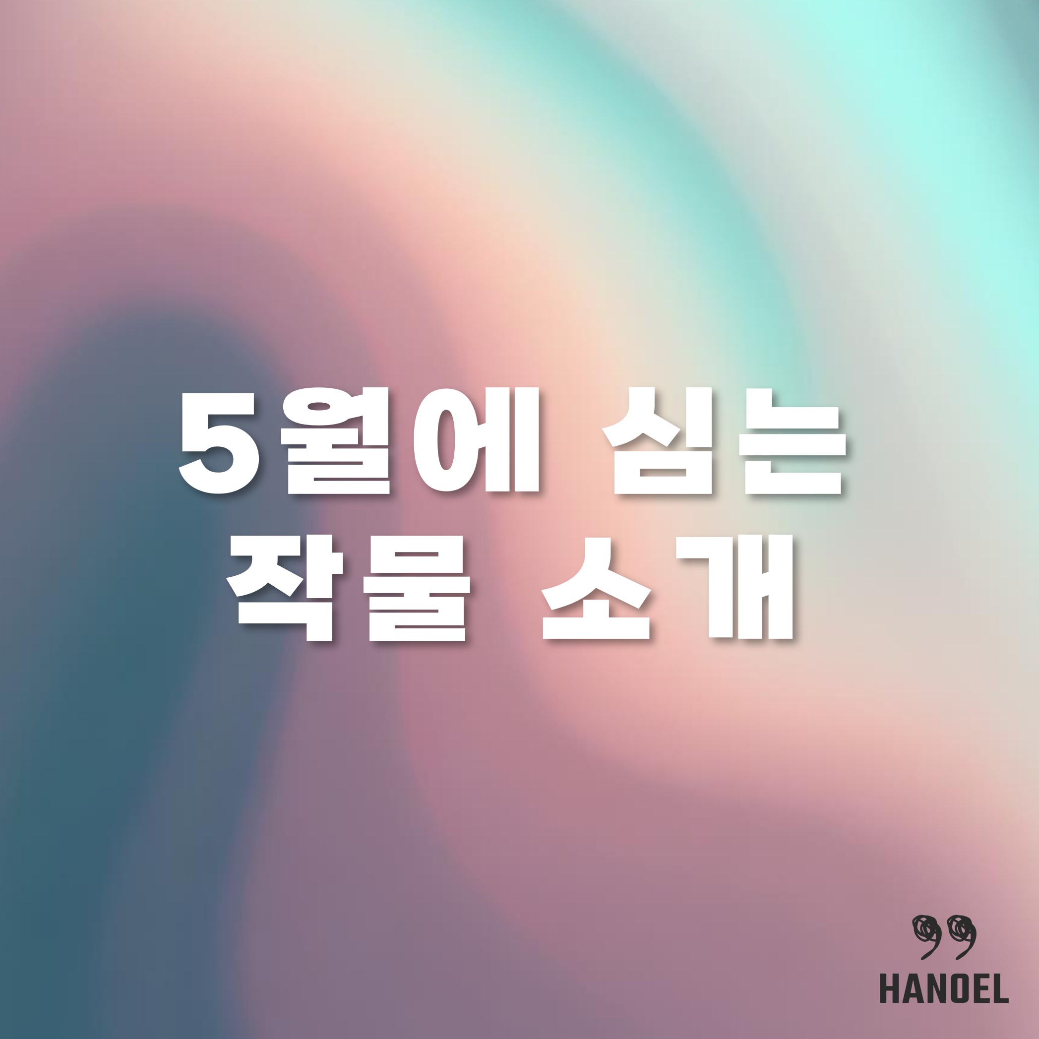 5월에 심는 채소 모종 꽃 작물