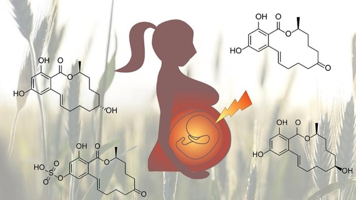 분포모델, 장애요인, 저장소에 관하여