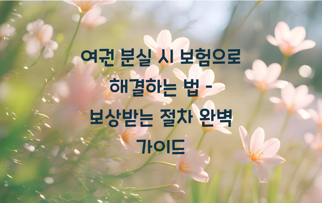 여권 분실 시 보험으로 해결하는 법 – 보상받는 절차 총정리!