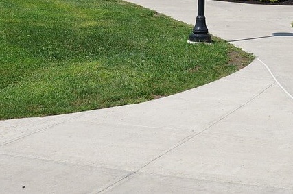 대입 수시 정시 일정