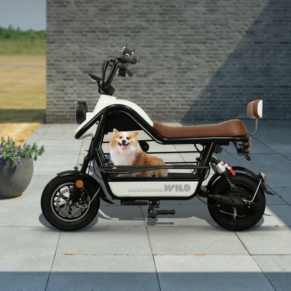 레이윙 디스커버리 와일드 강아지 스쿠터 추천
