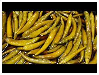 고추장아찌 담그는 법 황금레시피 아삭아삭하게_4