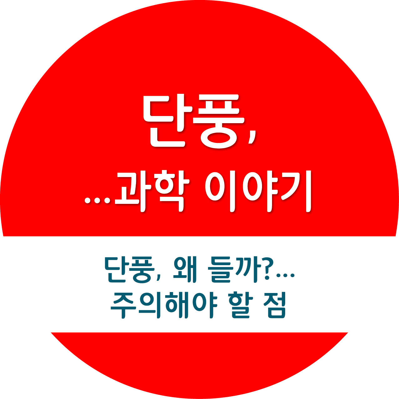단풍, 그 아름다운 변화 속에 담긴 과학 이야기